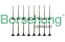 Sada ventilů, sací/výfukový ventil Borsehung B10337