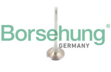 Sací ventil Borsehung B10341