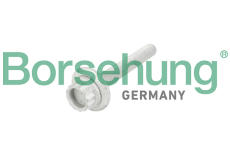 Stredici sroub, remenice-klikovy hridel Borsehung B10654