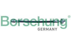 Brzdová hadice Borsehung B10951