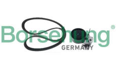 Sada kladek, klinovy zebrovy remen Borsehung B12361