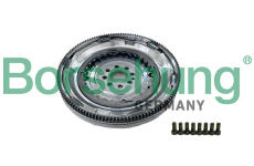 Setrvačník Borsehung B12949