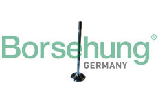 Sací ventil Borsehung B13246