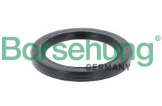 Těsnění, převodovka Borsehung B13361