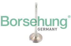 Výfukový ventil Borsehung B13371