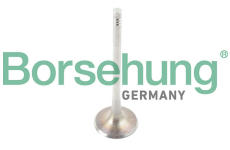 Sací ventil Borsehung B13372