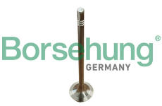 Výfukový ventil Borsehung B13382
