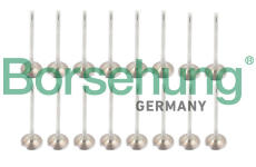 Sada ventilů, sací/výfukový ventil Borsehung B13398