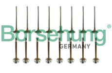 Sada ventilů, sací/výfukový ventil Borsehung B13400