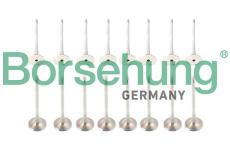 Sada ventilů, sací/výfukový ventil Borsehung B13402