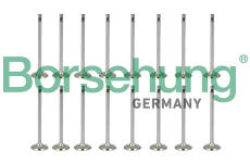 Sada ventilů, sací/výfukový ventil Borsehung B13405