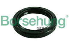 Těsnicí kroužek hřídele, manuální převodovka Borsehung B17839