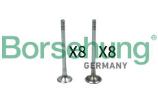 Sací ventil Borsehung B18140