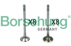Sací ventil Borsehung B18142