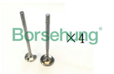 Sací ventil Borsehung B18193