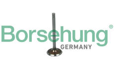 Sací ventil Borsehung B19030