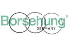 Sada pístních kroužků Borsehung B19047