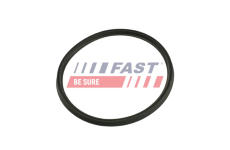 Tesniaci krúżok hadice plniaceho vzduchu FAST FT48965