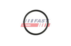 Tesnenie trubiek chladenia FAST FT49931