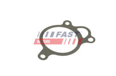 Tesneni, AGR ventil FAST FT50619