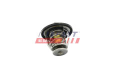 Termostat, chladivo FAST FT58033