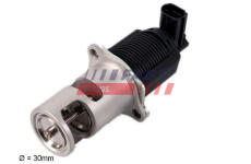 AGR - Ventil FAST FT60207