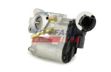 AGR - Ventil FAST FT60208