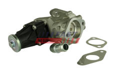 AGR - Ventil FAST FT60223