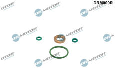 Sada těsnění, vstřikovací tryska Dr.Motor Automotive DRM009R
