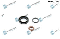 Sada těsnění, vstřikovací tryska Dr.Motor Automotive DRM02289