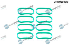 Sada těsnění, koleno sacího potrubí Dr.Motor Automotive DRM02903S