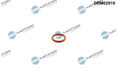 Těsnění, výpust oleje Dr.Motor Automotive DRM02919