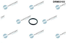 Tesnenie obalu termostatu Dr.Motor Automotive DRM03103