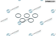 Těsnicí kroužek Dr.Motor Automotive DRM03351