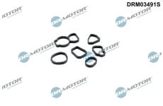 Sada těsnění, chladič oleje Dr.Motor Automotive DRM03491S