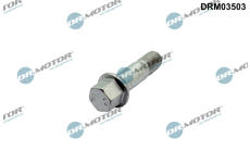 Sroub kola Dr.Motor Automotive DRM03503