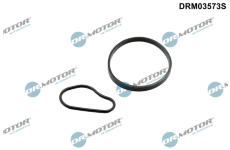 Sada těsnění, podtlaková pumpa Dr.Motor Automotive DRM03573S