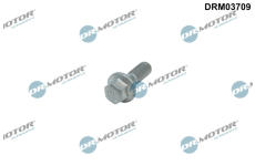 Sroub kola Dr.Motor Automotive DRM03709