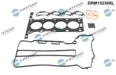 Sada těsnění, hlava válce Dr.Motor Automotive DRM15239SL