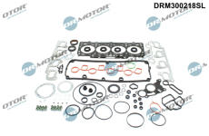 Sada těsnění, hlava válce Dr.Motor Automotive DRM300218SL
