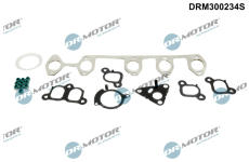 Sada tesnení, Hlava valcov Dr.Motor Automotive DRM300234S