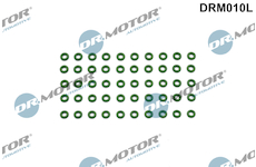 Těsnicí kroužek, držák trysky Dr.Motor Automotive DRM010L