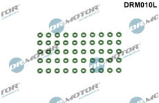 Těsnicí kroužek, držák trysky Dr.Motor Automotive DRM010L