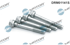 żroub, drżák vstřikovací trysky Dr.Motor Automotive DRM01141S