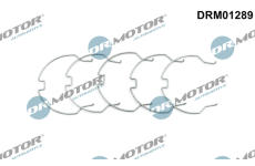 Spona Dr.Motor Automotive DRM01289