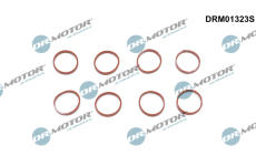 Sada těsnění, koleno sacího potrubí Dr.Motor Automotive DRM01323S