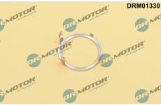 Tesneni, AGR ventil Dr.Motor Automotive DRM01330