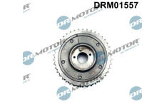 Nastavovac vackoveho hridele Dr.Motor Automotive DRM01557