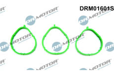 Sada těsnění, koleno sacího potrubí Dr.Motor Automotive DRM01601S