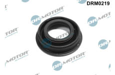 Tesneni, drzak trysky Dr.Motor Automotive DRM0219